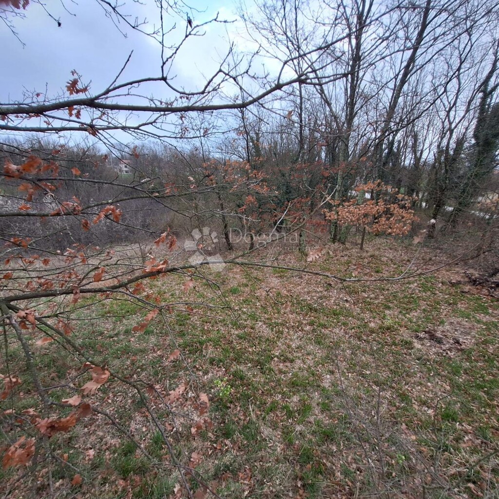 Image 6340711 - 4