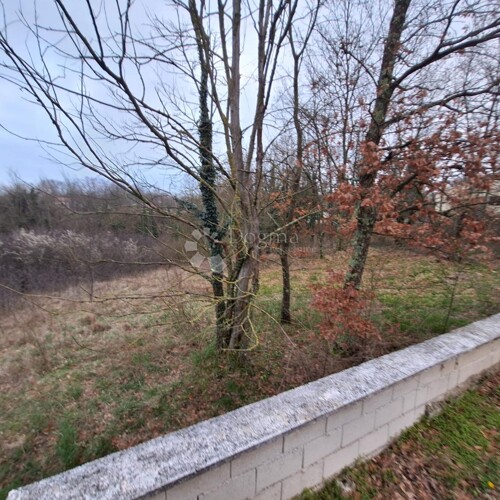 Thumbnail 6340712 - 2