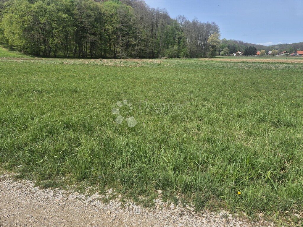 Image 6340717 - 2