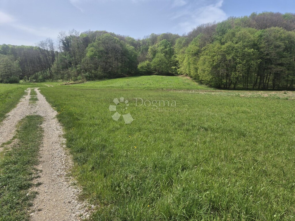Image 6340717 - 1