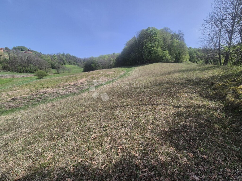 Image 6340718 - 3