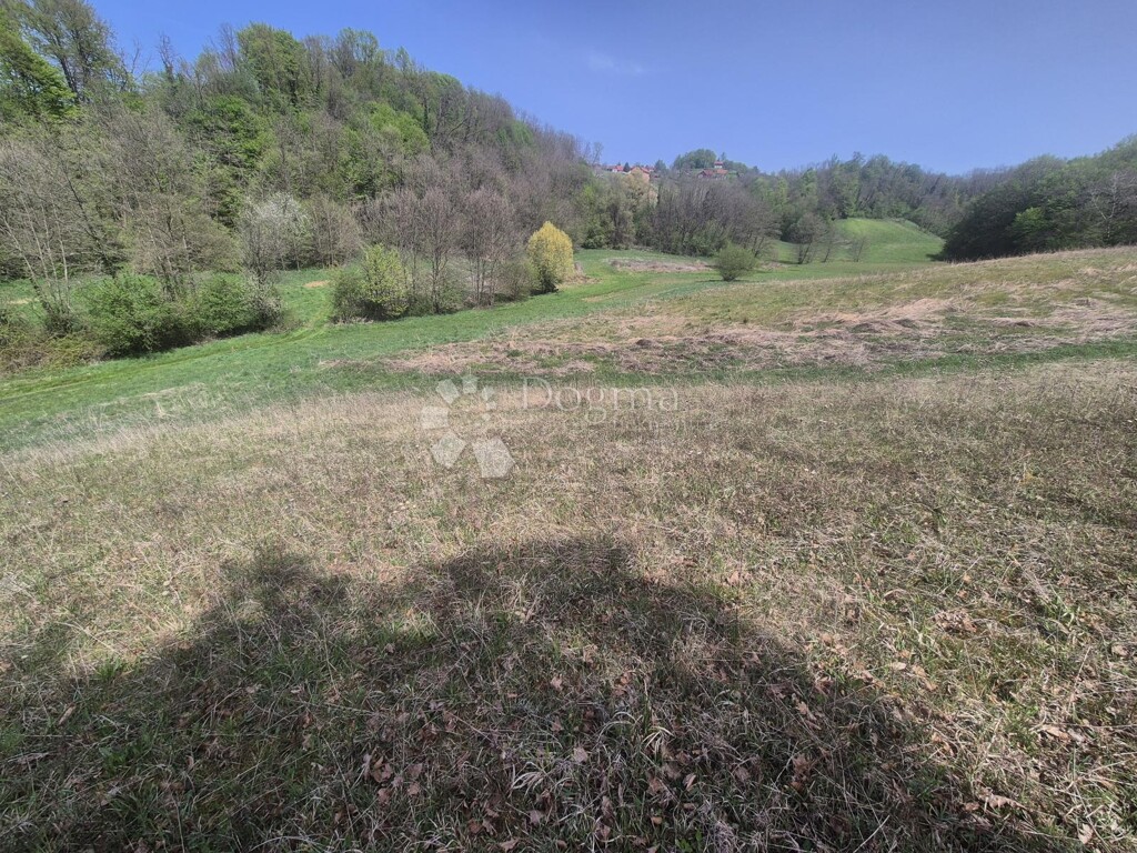 Image 6340718 - 4