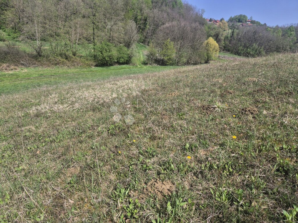Image 6340718 - 1
