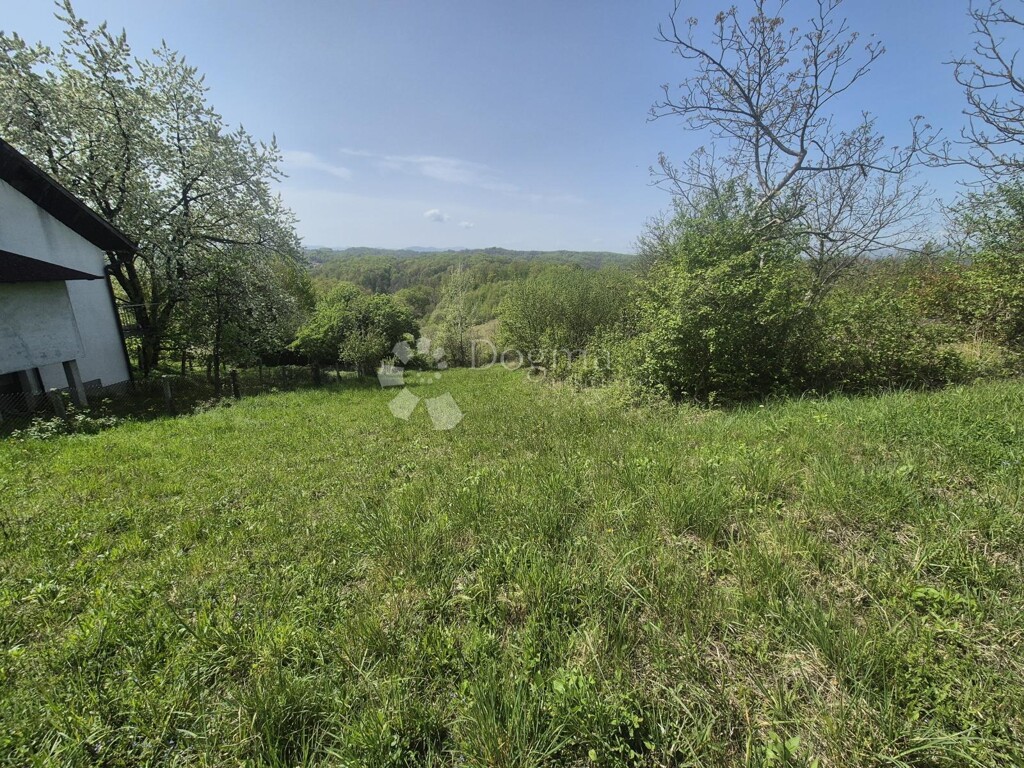 Image 6340719 - 2