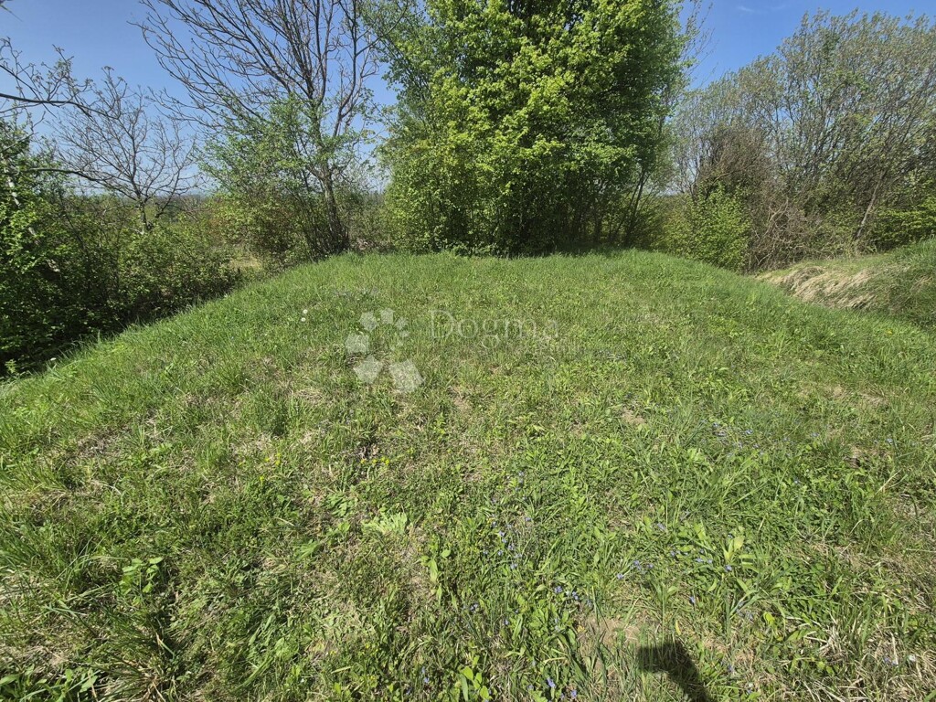 Image 6340719 - 1