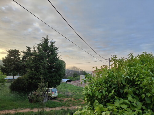 Thumbnail 6340745 - 6