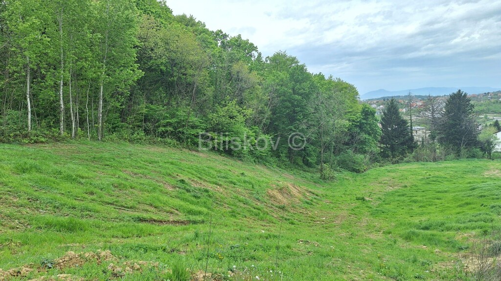 Image 6340782 - 1