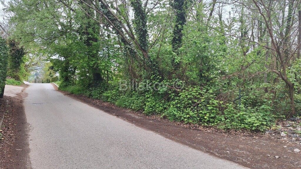 Image 6340782 - 5