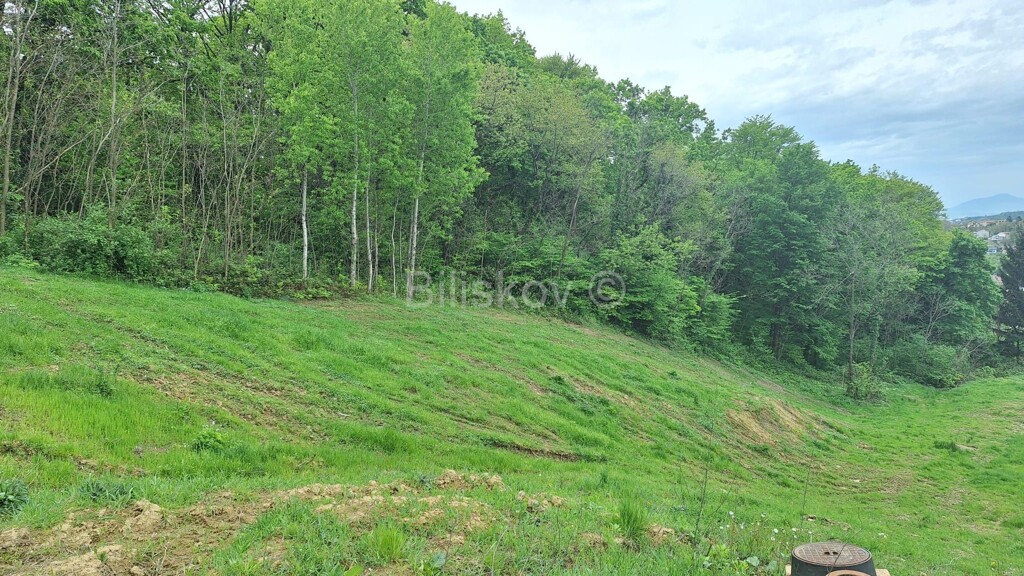 Image 6340782 - 2