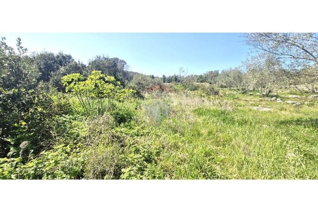 Image 6340783 - 5