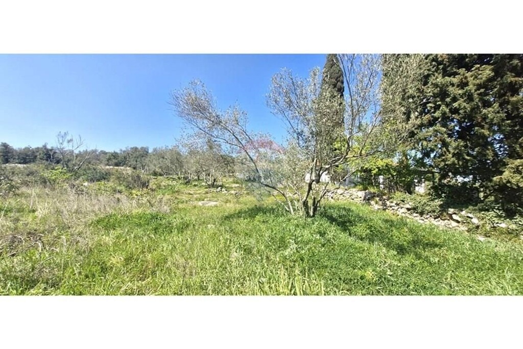 Image 6340783 - 3