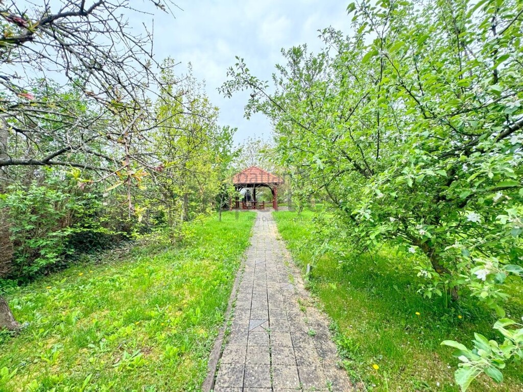 Image 6340819 - 23