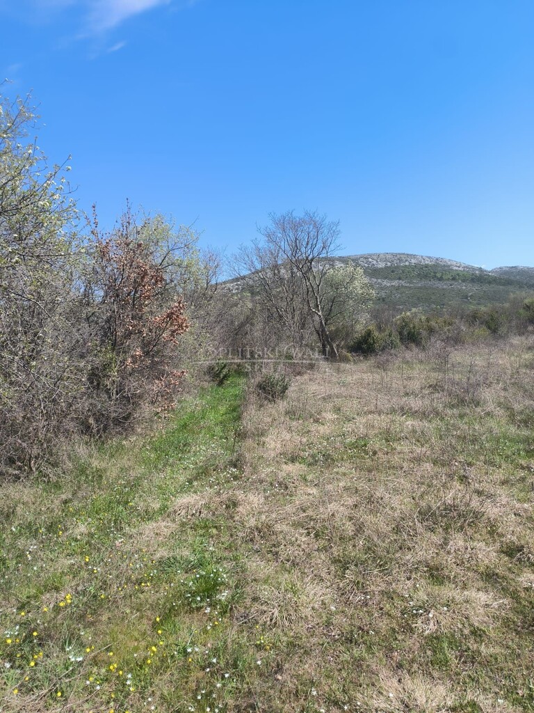 Image 6340827 - 1