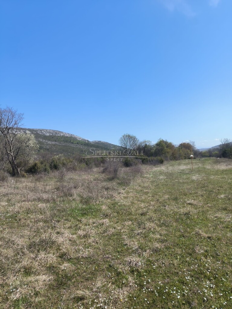 Image 6340827 - 2