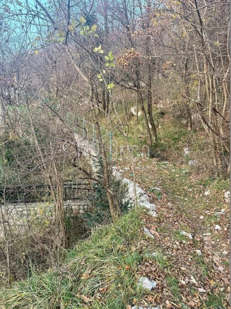 Image 6340835 - 2