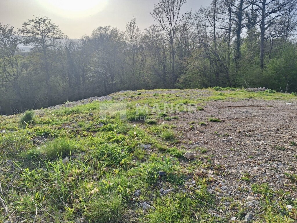 Image 6340844 - 1