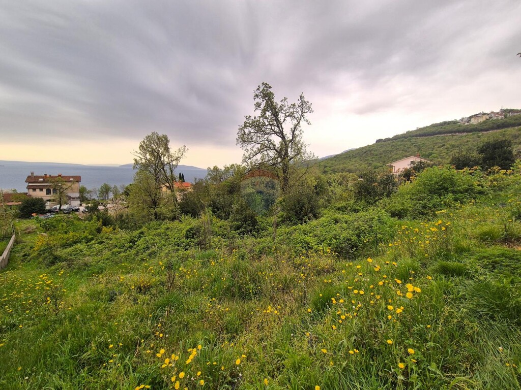 Image 6340863 - 9