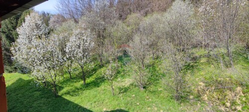 Thumbnail 6340867 - 16