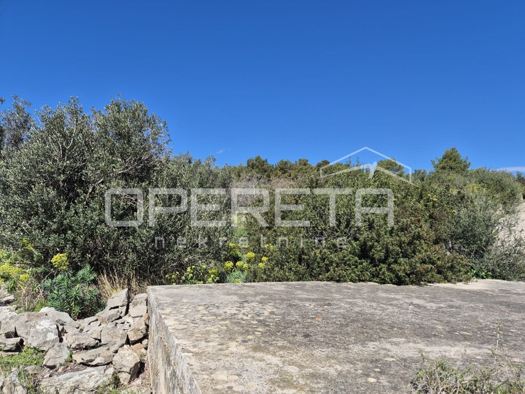 Image 6341018 - 2