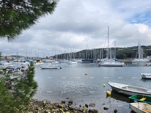 Thumbnail 6341045 - 13