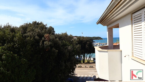 Thumbnail 6341292 - 13