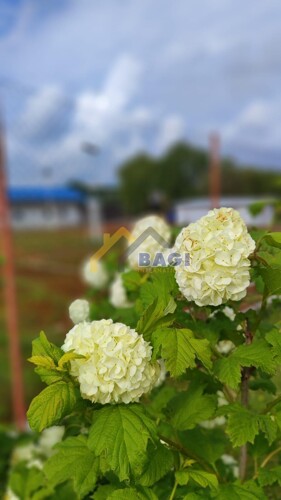 Thumbnail 6341302 - 13