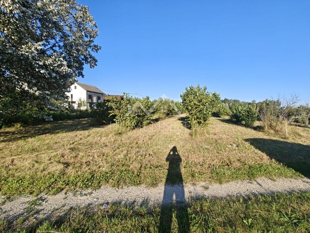 Image 6341352 - 4