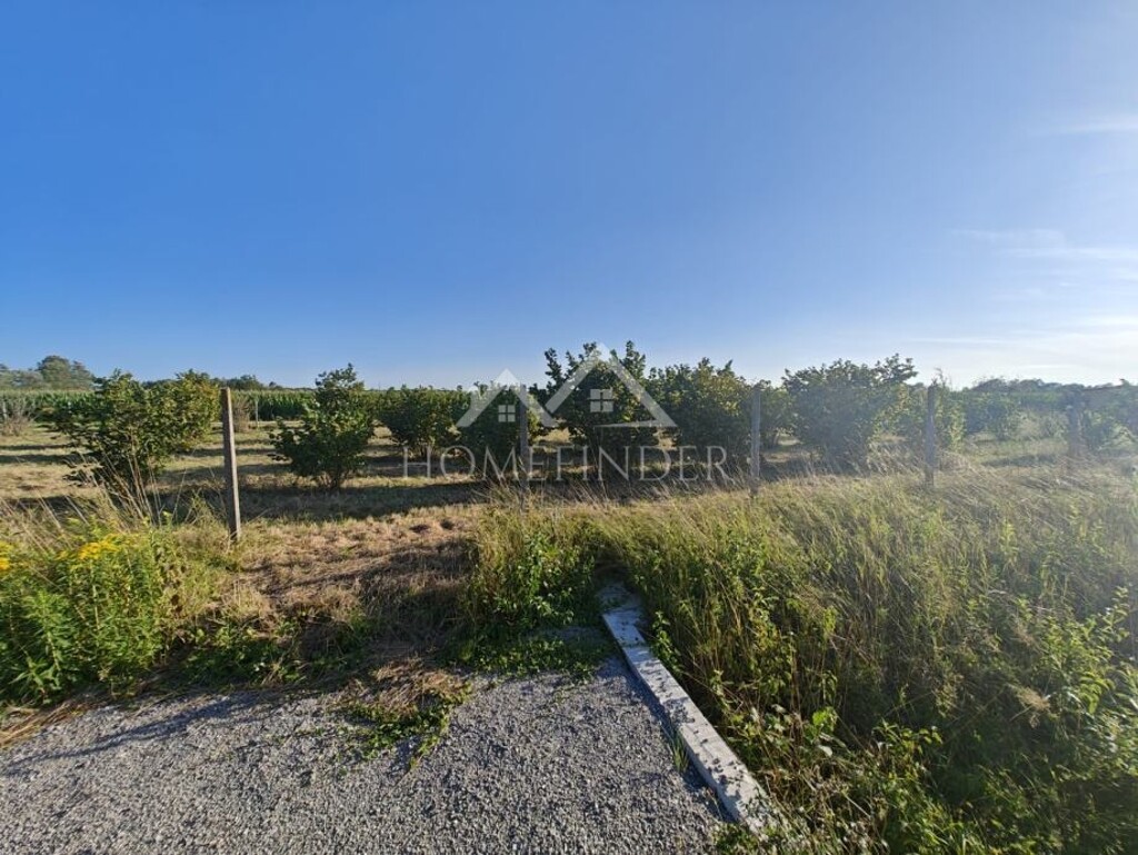 Image 6341352 - 5
