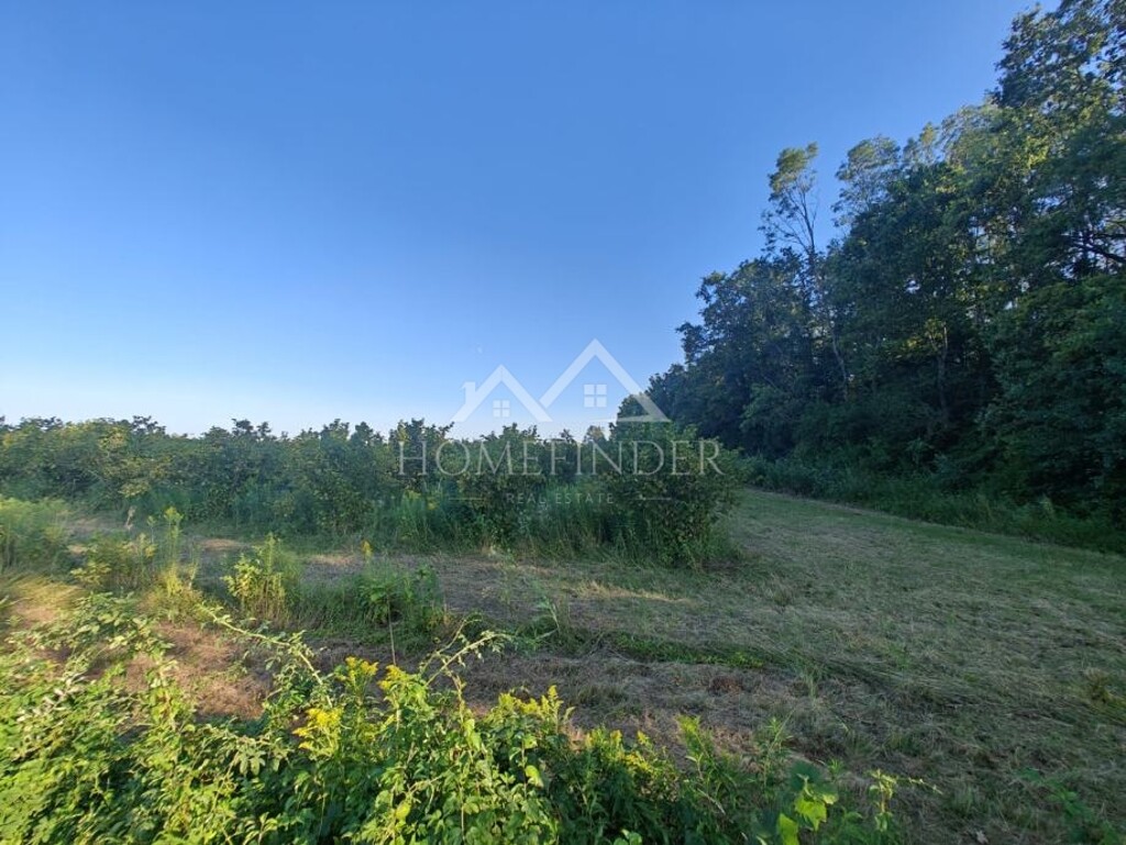 Image 6341358 - 2