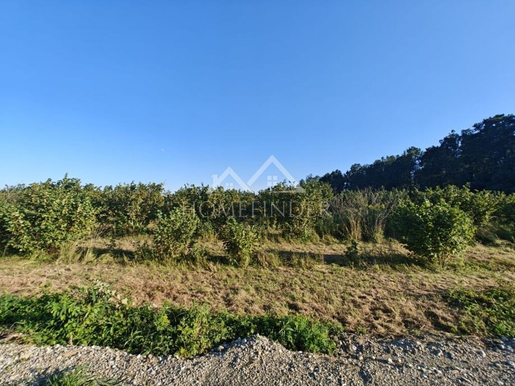 Image 6341358 - 7