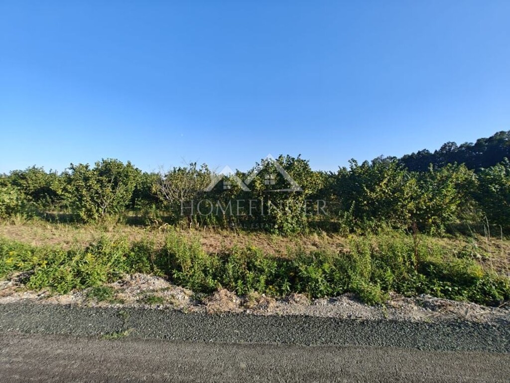 Image 6341358 - 6