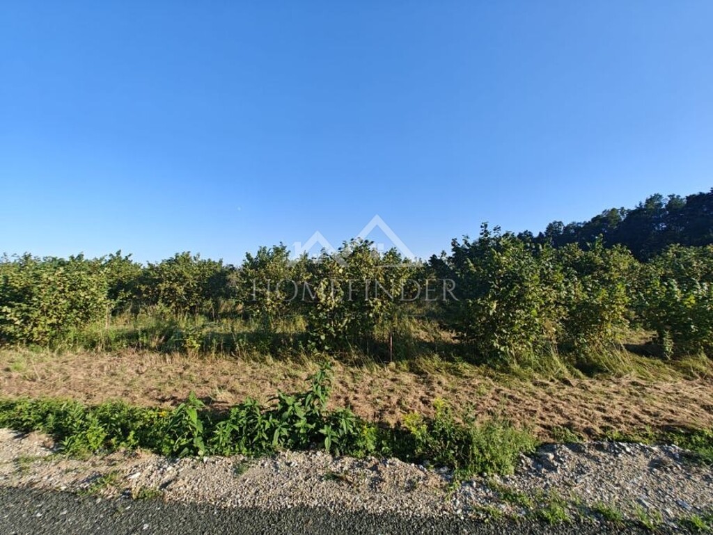 Image 6341358 - 4