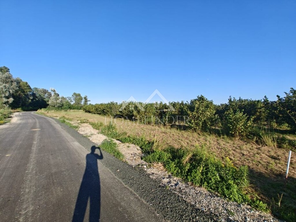 Image 6341359 - 5
