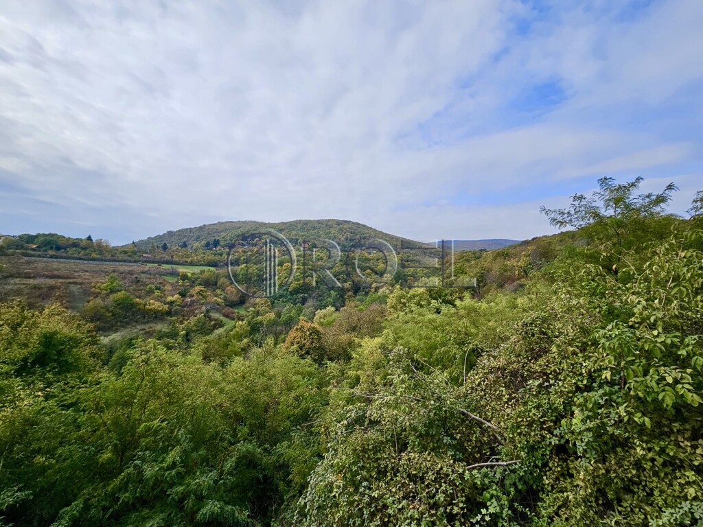 Image 6341379 - 3