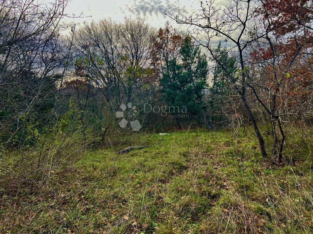Image 6341563 - 3