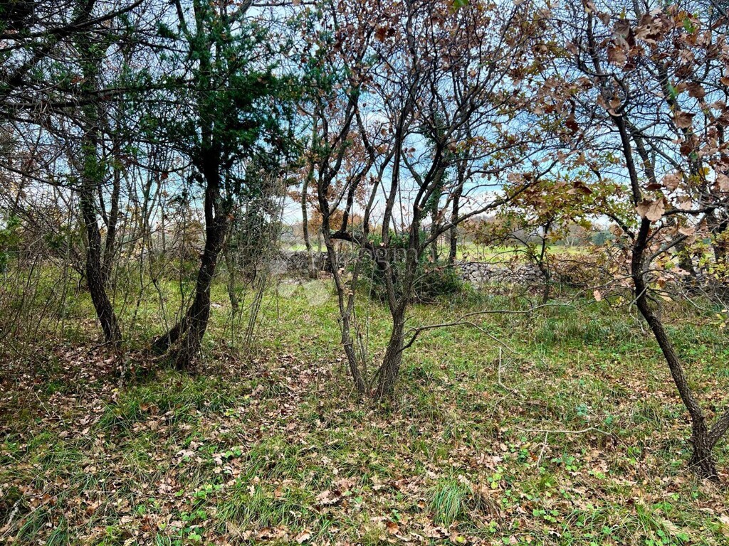 Image 6341563 - 5
