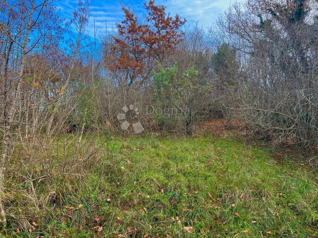 Image 6341563 - 4