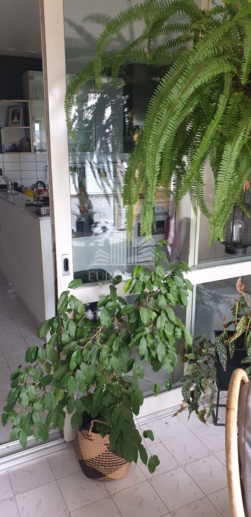 Image 6341582 - 6