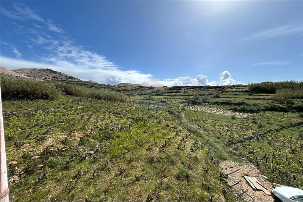 Image 6341618 - 21