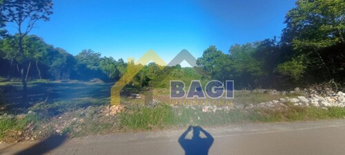Thumbnail 6341928 - 3