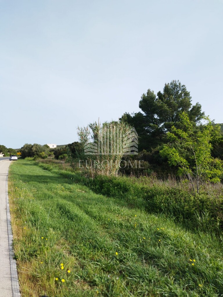 Image 6341929 - 3