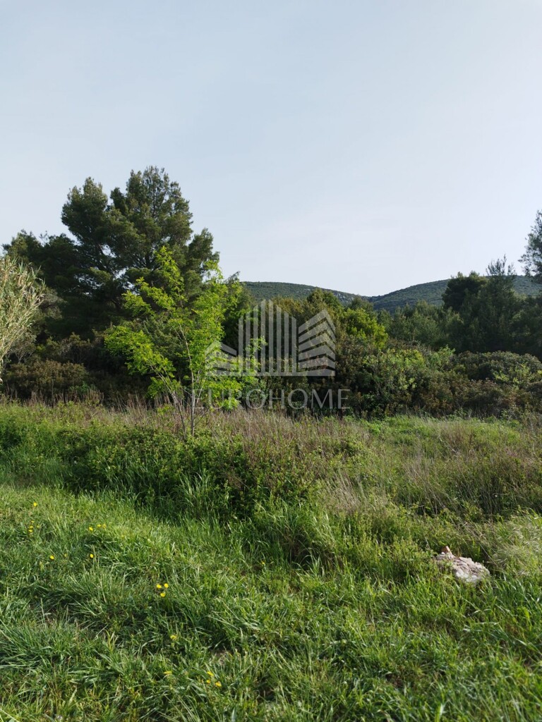 Image 6341929 - 11