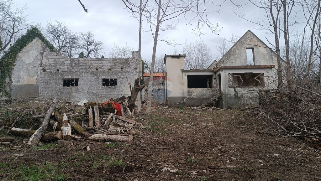 Image 6341937 - 1