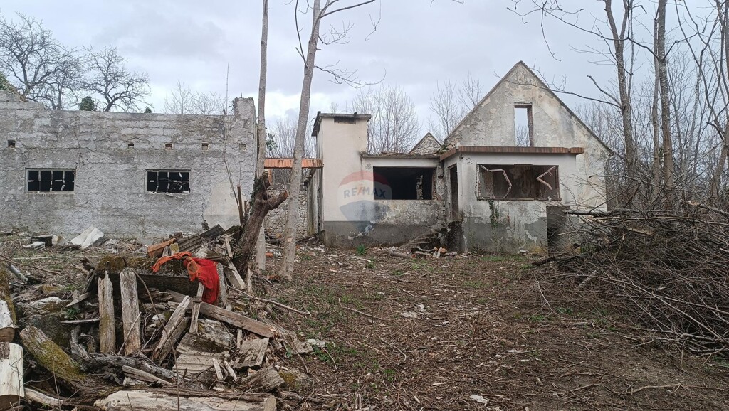 Image 6341937 - 3