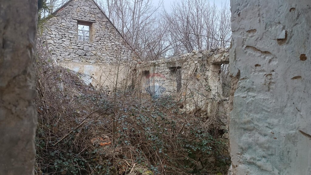 Image 6341937 - 12