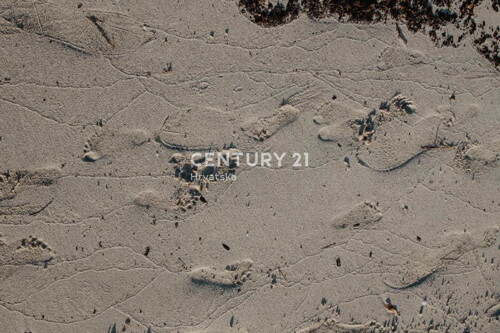 Thumbnail 6341938 - 23