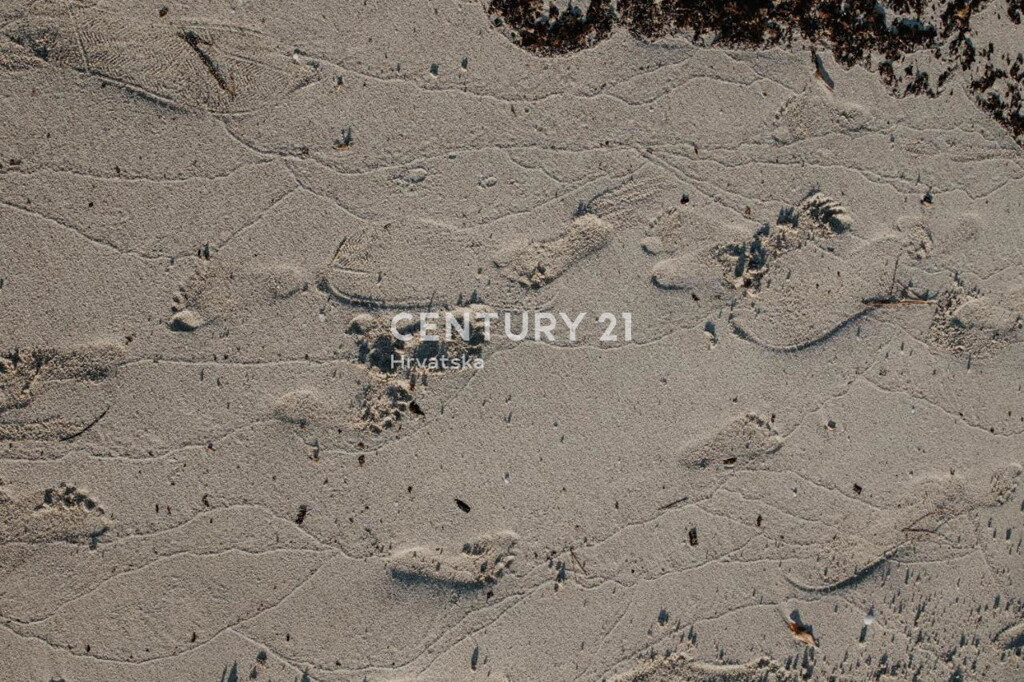 Image 6341938 - 23