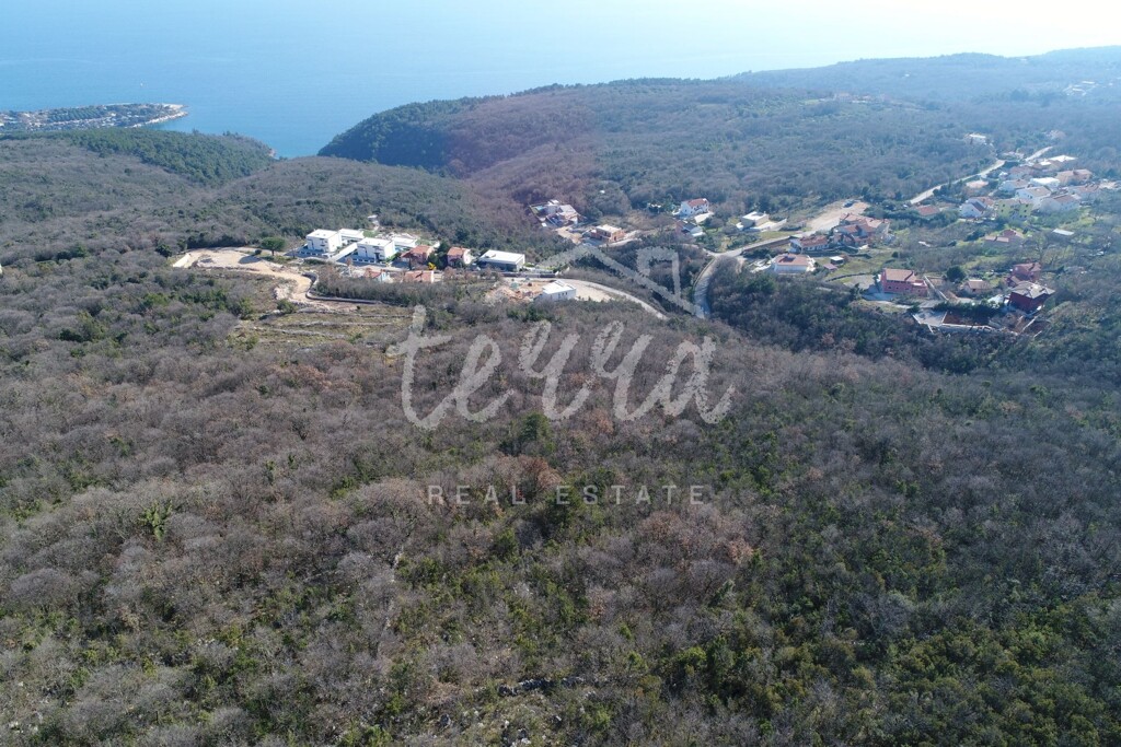 Image 6342171 - 1