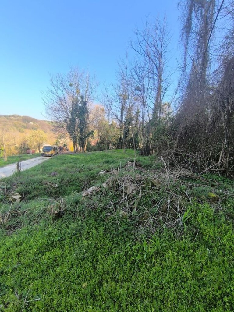 Image 6342251 - 8