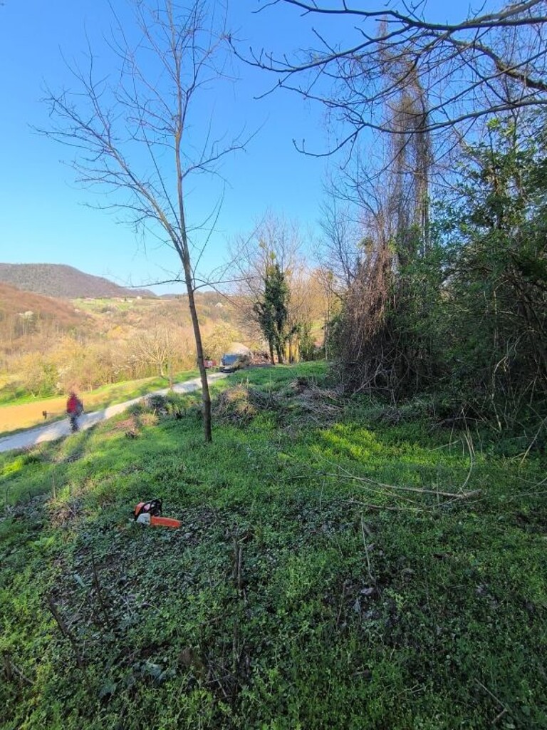 Image 6342251 - 7